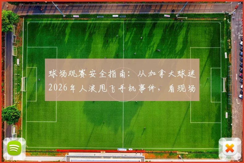 球场观赛安全指南：从加拿大球迷2026年人浪甩飞手机事件，看现场如何保管个人财物